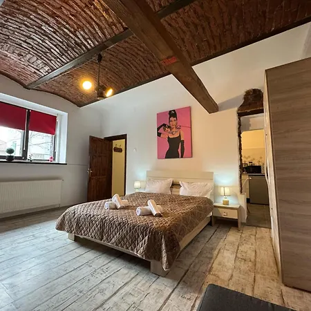 Cozy Tampa - Ultracentral * Braşov