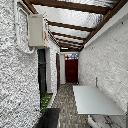 Cozy Tampa - Ultracentral Appartement