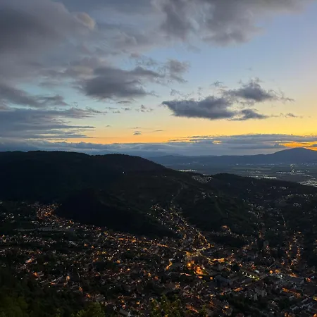 Cozy Tampa - Ultracentral Appartement *