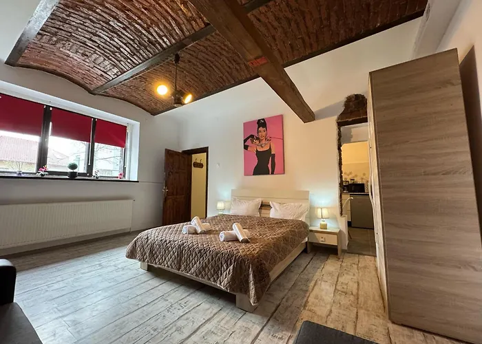 Cozy Tampa - Ultracentral * Brasov