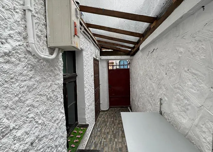 Cozy Tampa - Ultracentral Appartement