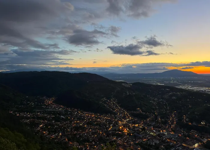 Cozy Tampa - Ultracentral شقة *