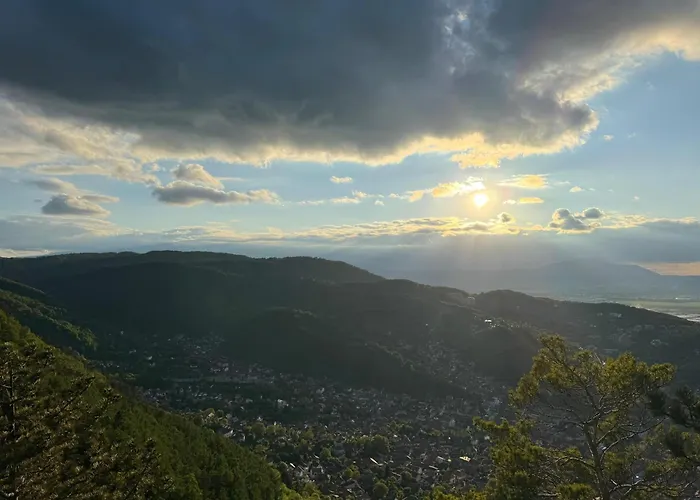 Cozy Tampa - Ultracentral شقة براشوف